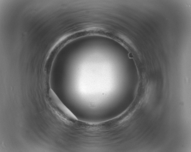 X0000083001021200702011449