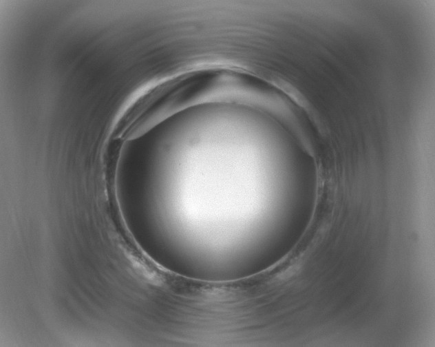 X0000083001022200702011449