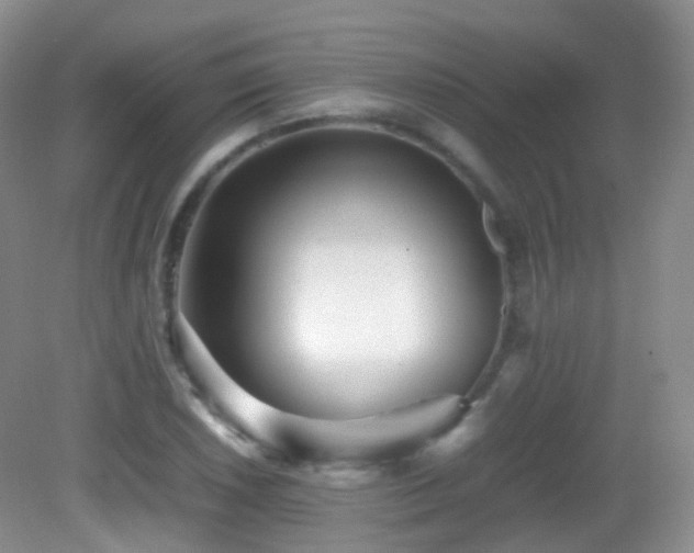 X0000083001026200702011449