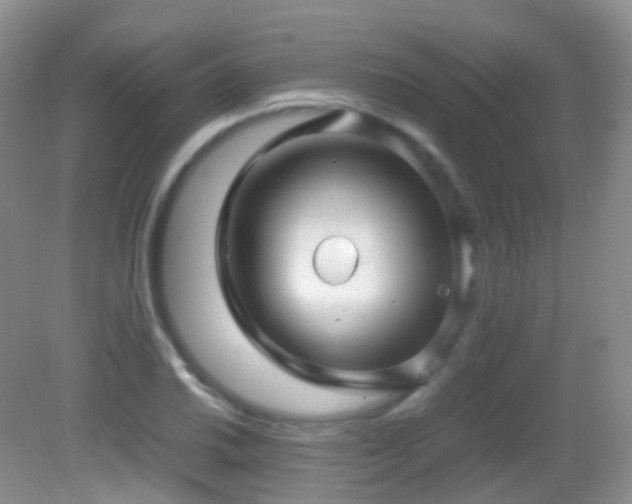X0000083001030200702011449