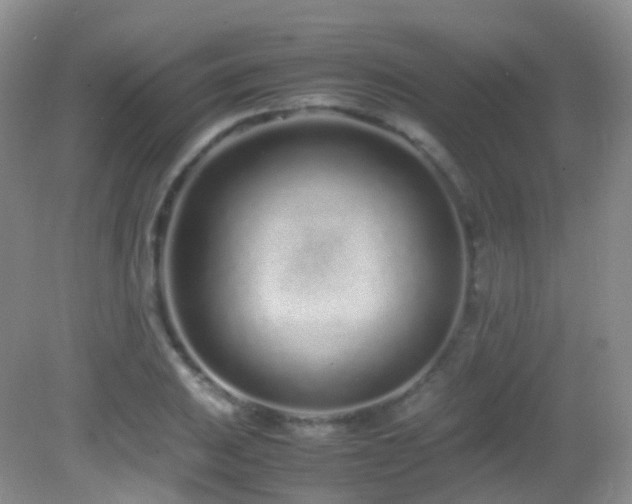 X0000083001031200702011449