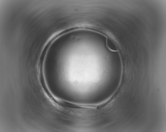 X0000083001032200702011449