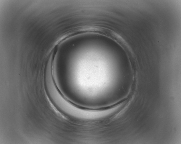 X0000083001033200702011449