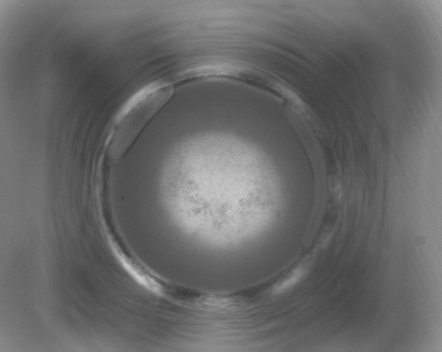 X0000083001034200702011449