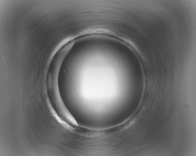 X0000083001038200702011449