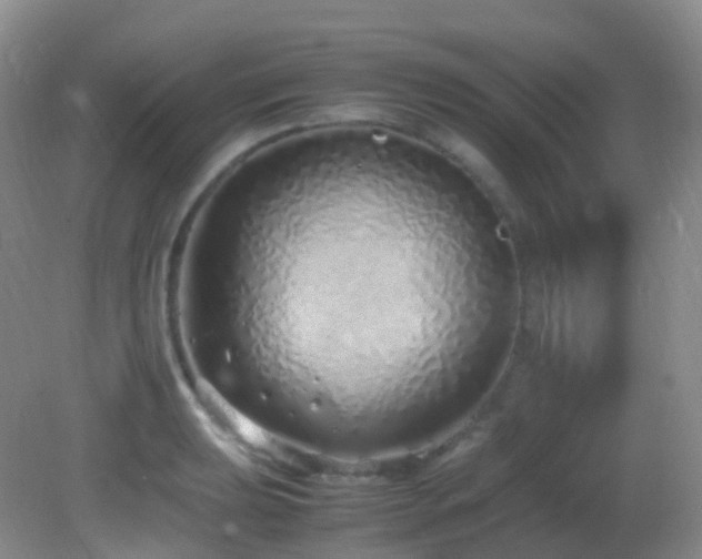 X0000083001039200702011449