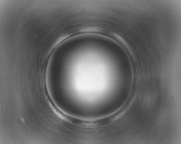X0000083001041200702011449