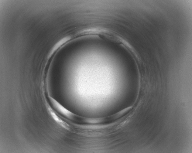 X0000083001042200702011449