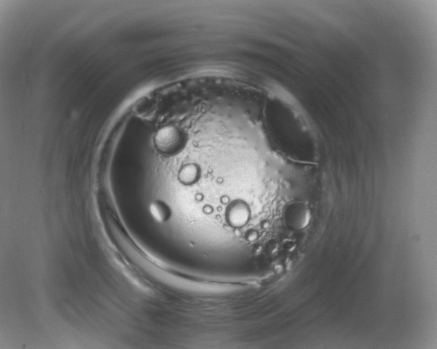X0000083001043200702011450