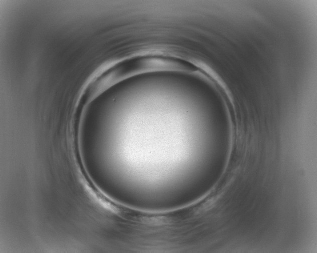 X0000083001045200702011450