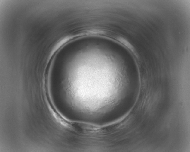 X0000083001047200702011450