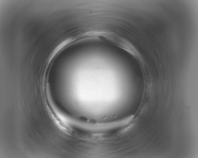 X0000083001050200702011450
