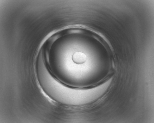 X0000083001054200702011450