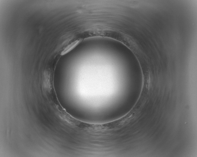X0000083001060200702011449