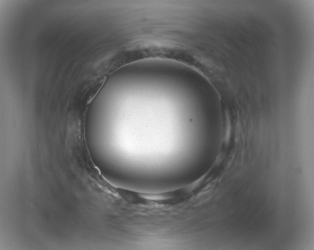 X0000083001061200702011449