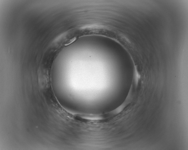 X0000083001062200702011449