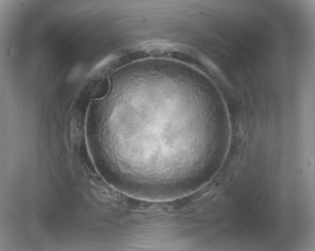 X0000083001063200702011449