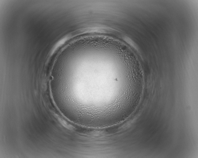 X0000083001067200702011449