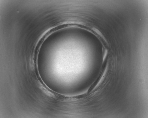 X0000083001068200702011449
