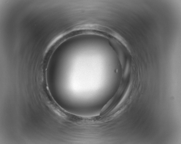X0000083001069200702011449