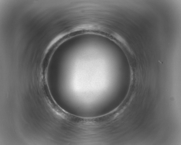 X0000083001070200702011449