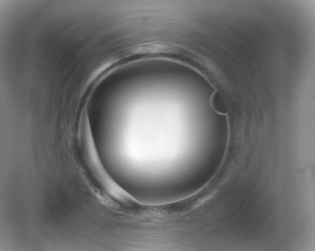 X0000083001073200702011449