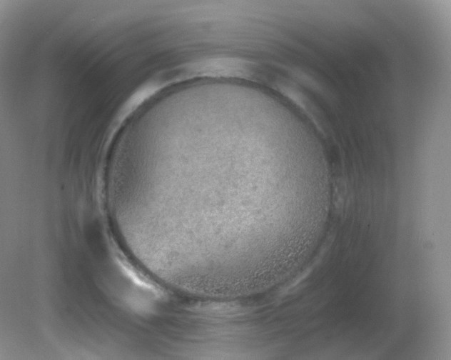 X0000083001074200702011449