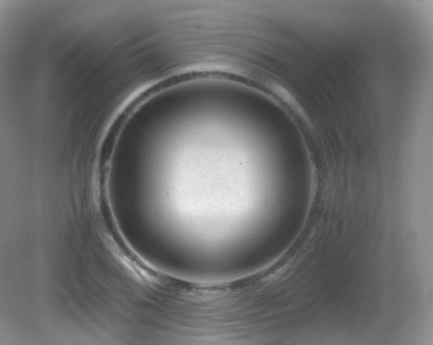 X0000083001076200702011449