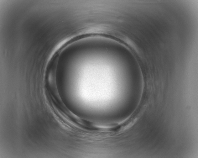 X0000083001077200702011449