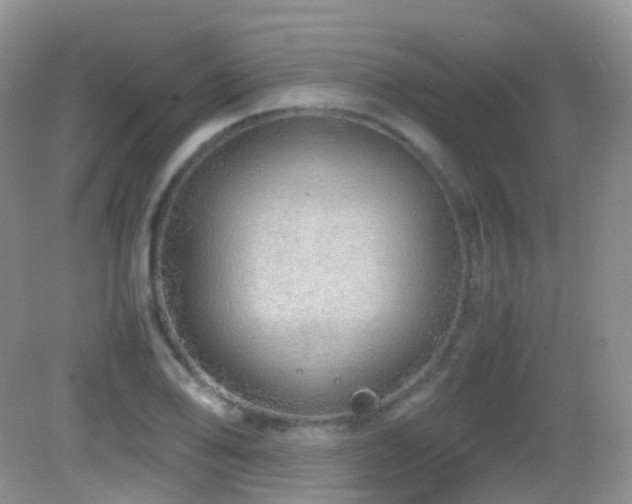 X0000083001078200702011449