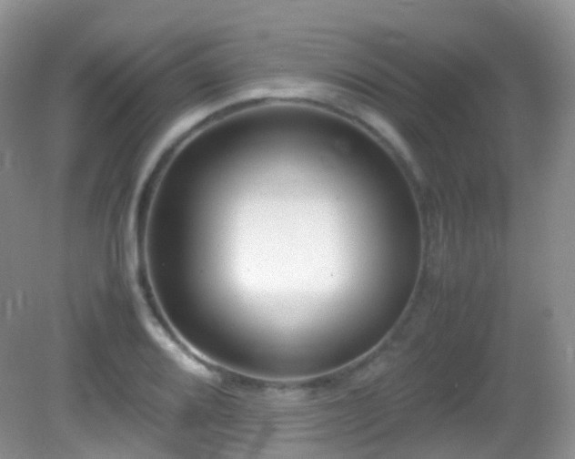X0000083001080200702011449
