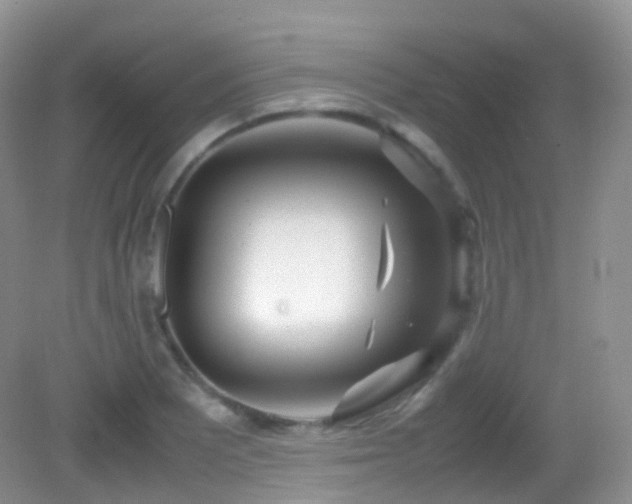 X0000083001081200702011449