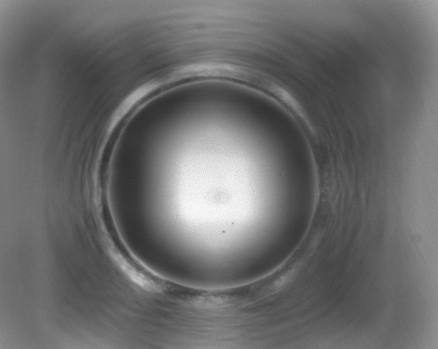 X0000083001082200702011449