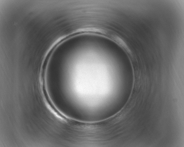 X0000083001084200702011448