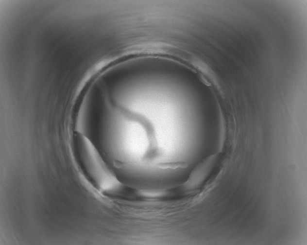 X0000083001085200702011448