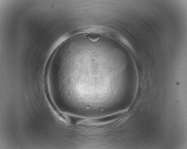 X0000083001087200702011448
