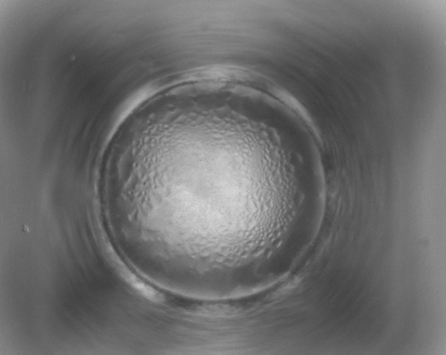 X0000083001091200702011448