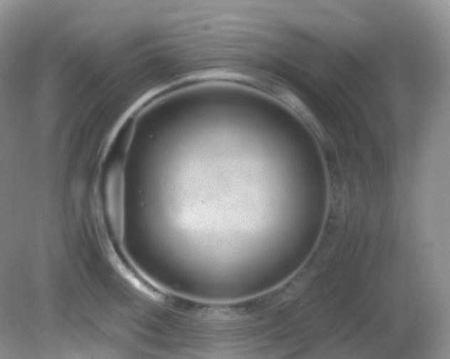 X0000083001092200702011448