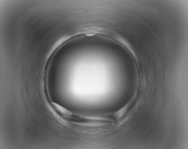 X0000083001093200702011448
