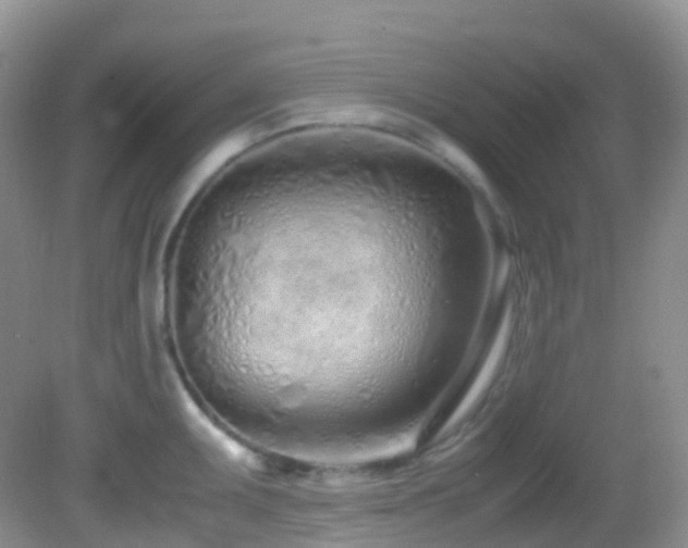 X0000083001095200702011448