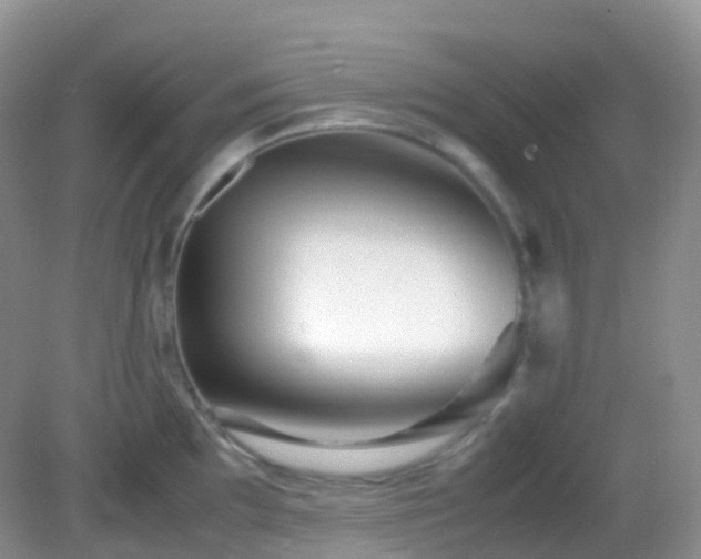 X0000083001097200702011448