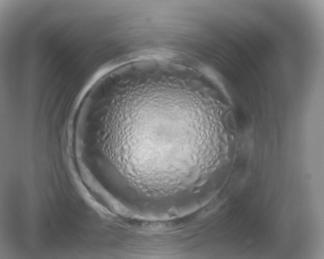 X0000083001099200702011448