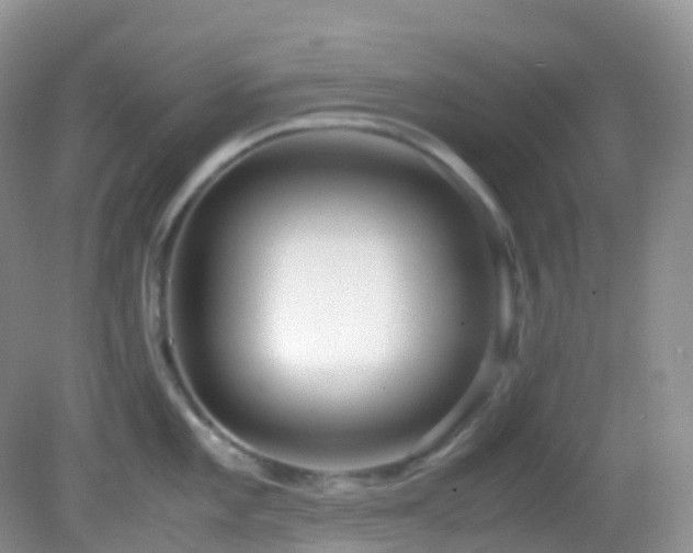 X0000083001101200702011448