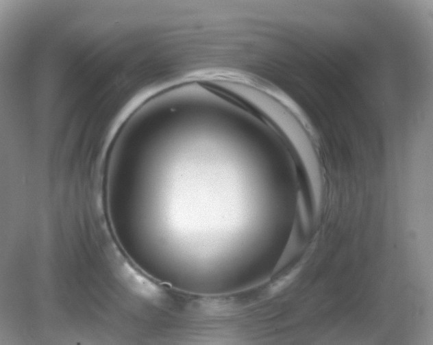 X0000083001102200702011448