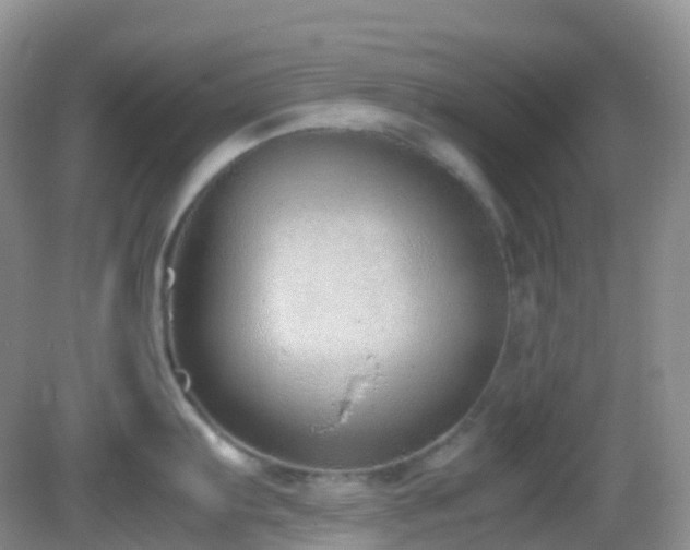 X0000083001103200702011448