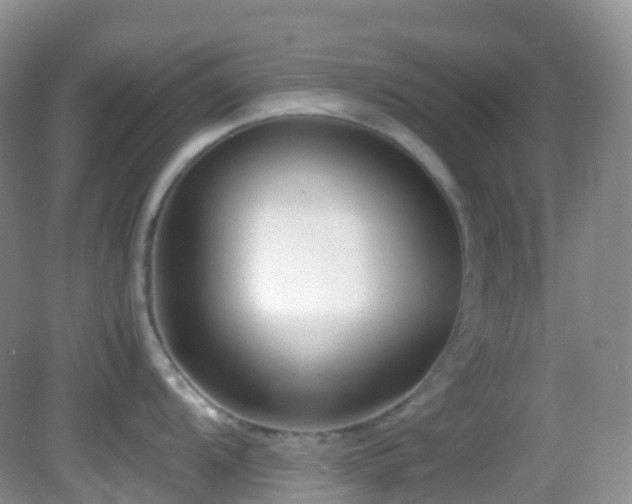 X0000083001104200702011448