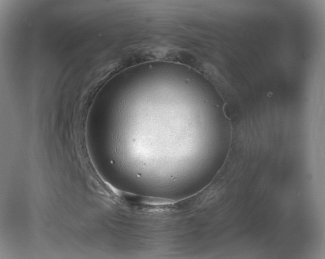 X0000083001105200702011447