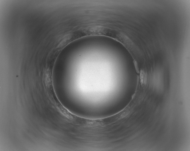X0000083001107200702011447