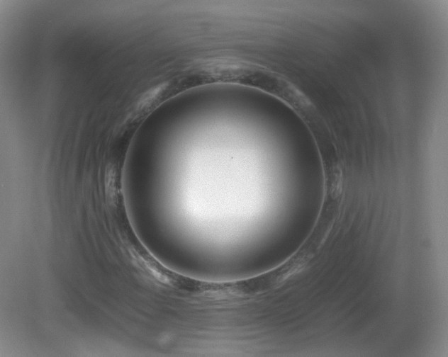 X0000083001108200702011447