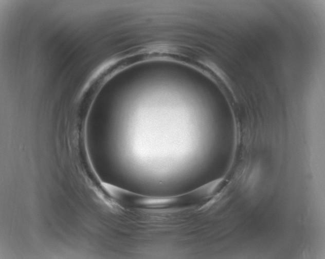 X0000083001115200702011447